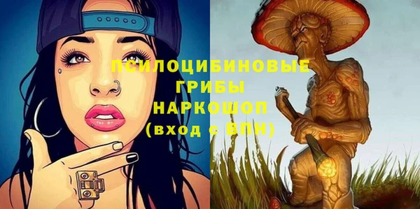 ПСИЛОЦИБИНОВЫЕ ГРИБЫ Заволжск