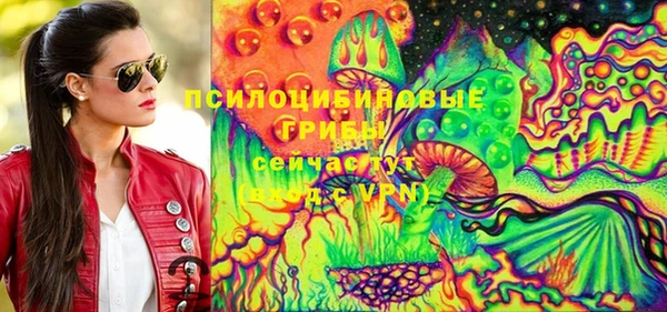 первитин Заводоуковск
