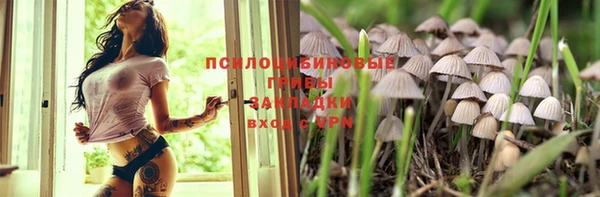 ПСИЛОЦИБИНОВЫЕ ГРИБЫ Заволжск