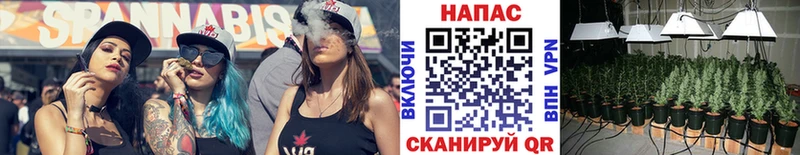 Шишки марихуана марихуана  Купить где  Южа 